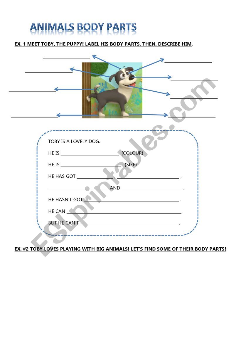 ANIMALS BODY PARTS worksheet