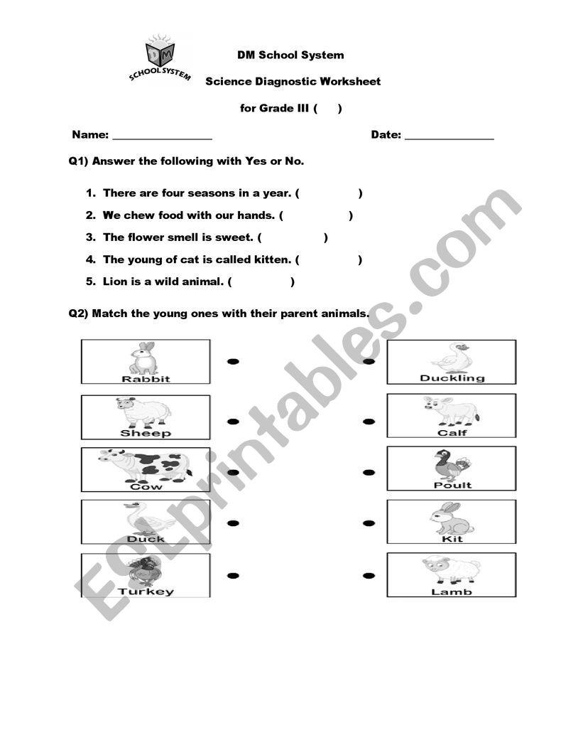 grade 1 worksheet worksheet