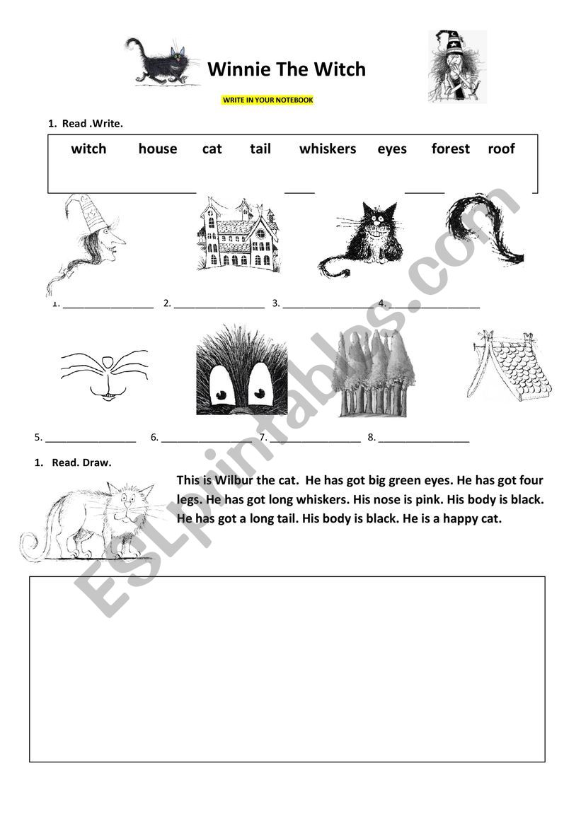 Winnie the Witch Vocab worksheet