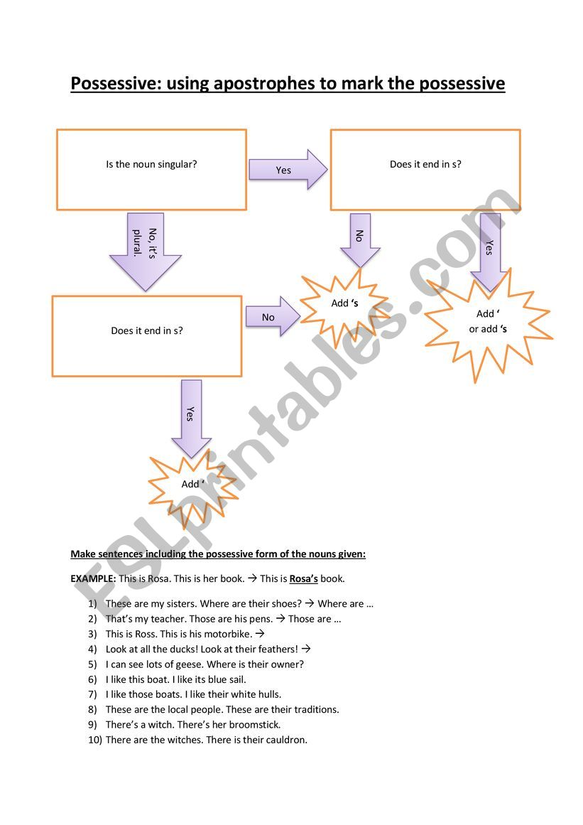 Possessive apostrophe worksheet