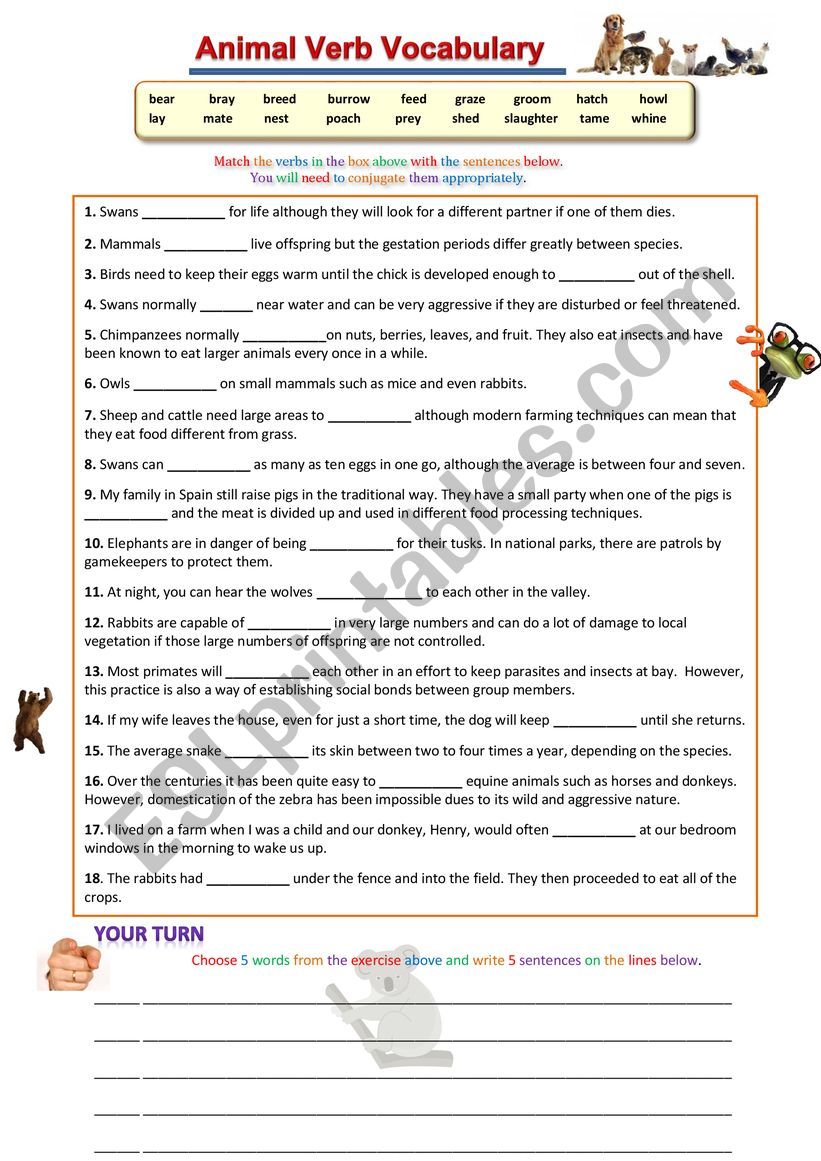Animal Verbs Vocabulary worksheet