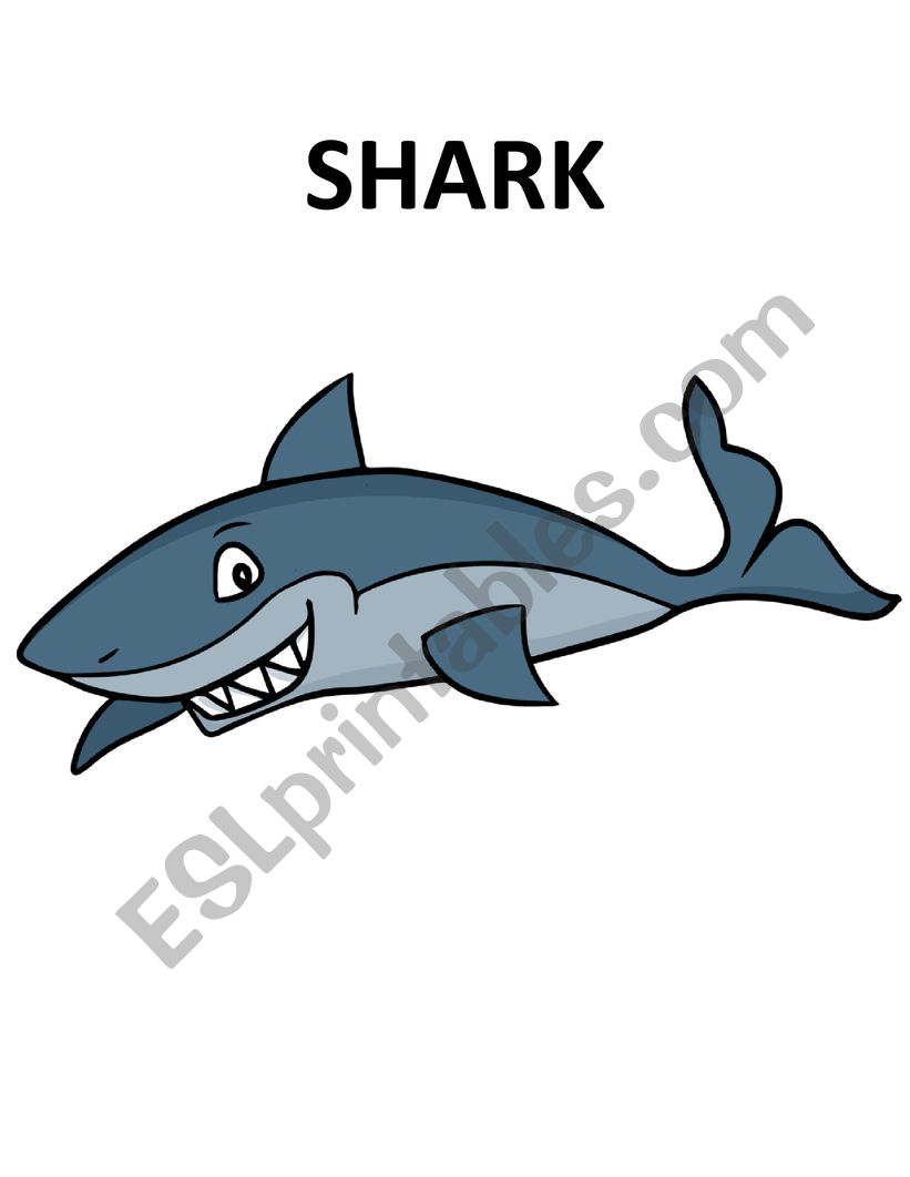 Sea Animals Flashcards worksheet