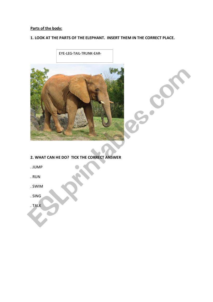 Animals  worksheet