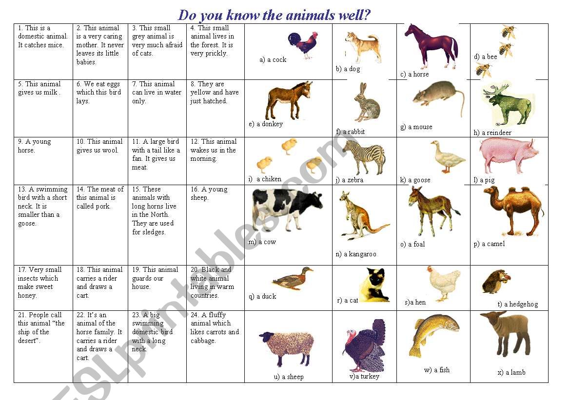 Do you know the animals well? - ESL worksheet by Natal1a