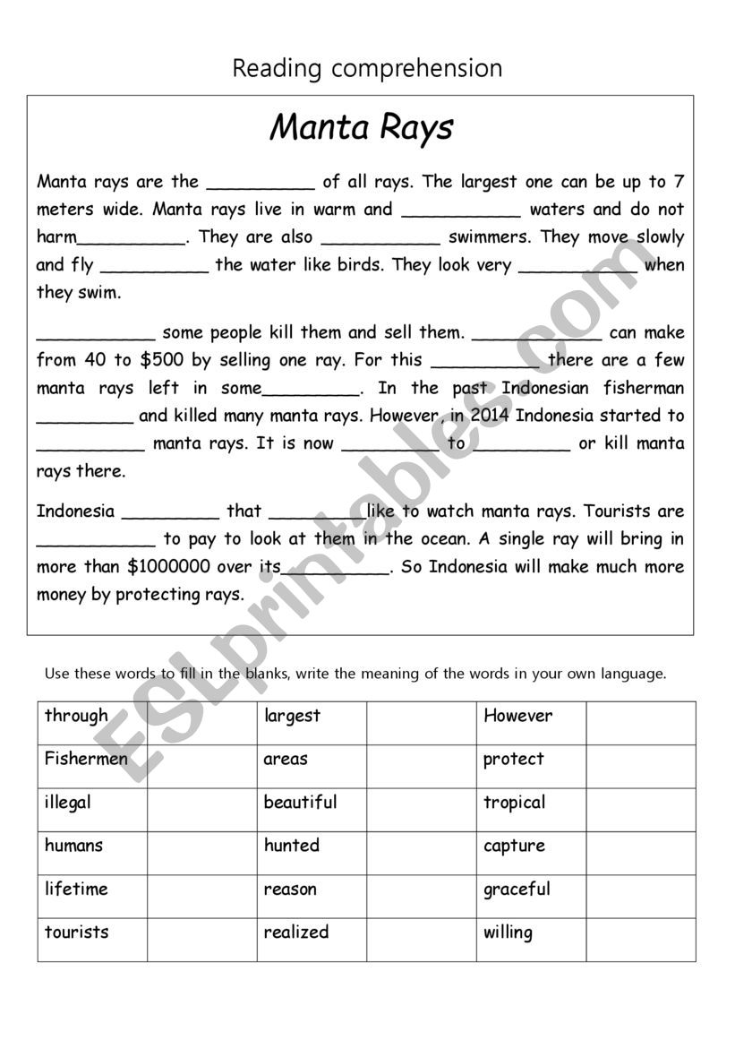 Manta Rays reading comprehension