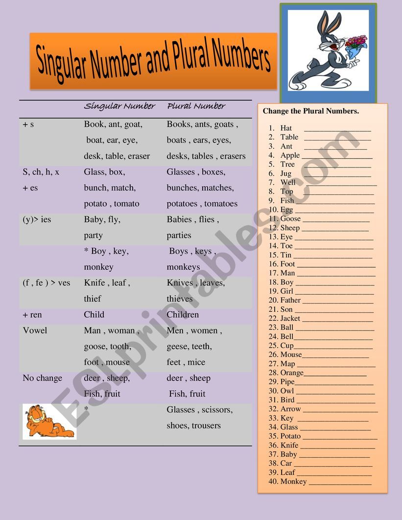 Singular Number and Plural Numbers