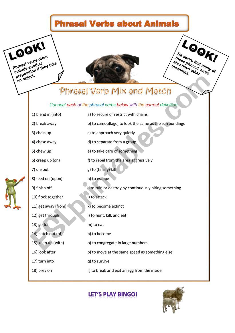 Phrasal Verbs About Animals worksheet