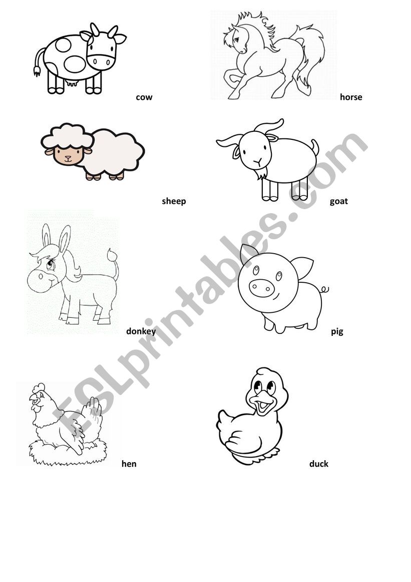 Farm animals  worksheet