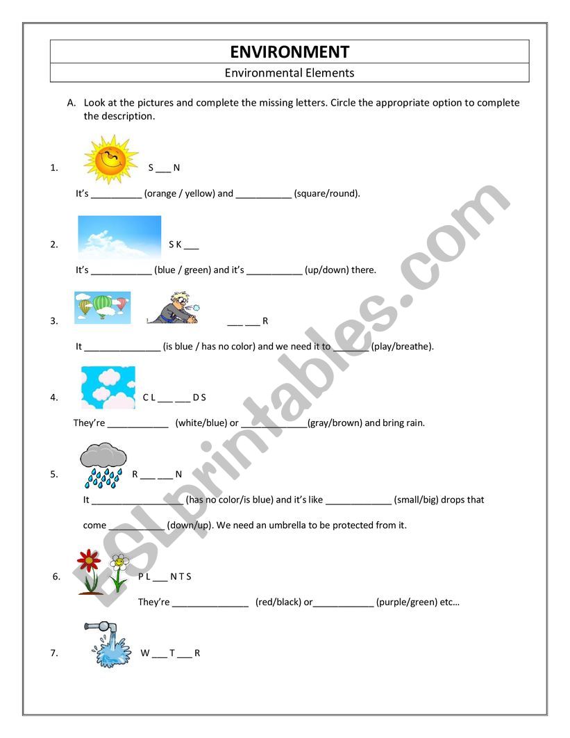 Environment worksheet