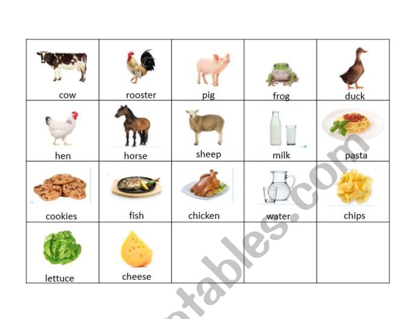 family and pets worksheet