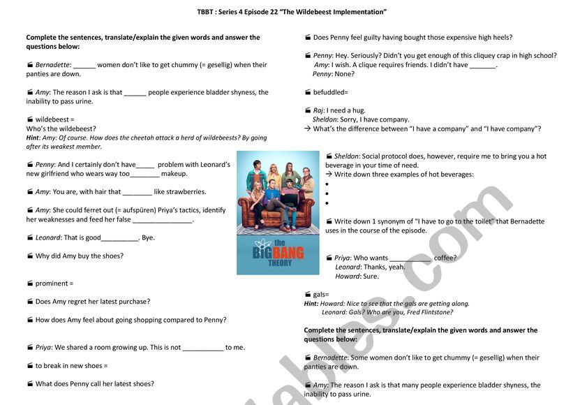 The Big Bang Theory - shopping / countable & uncountable nouns