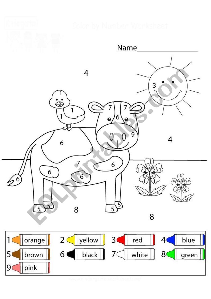 colors worksheet