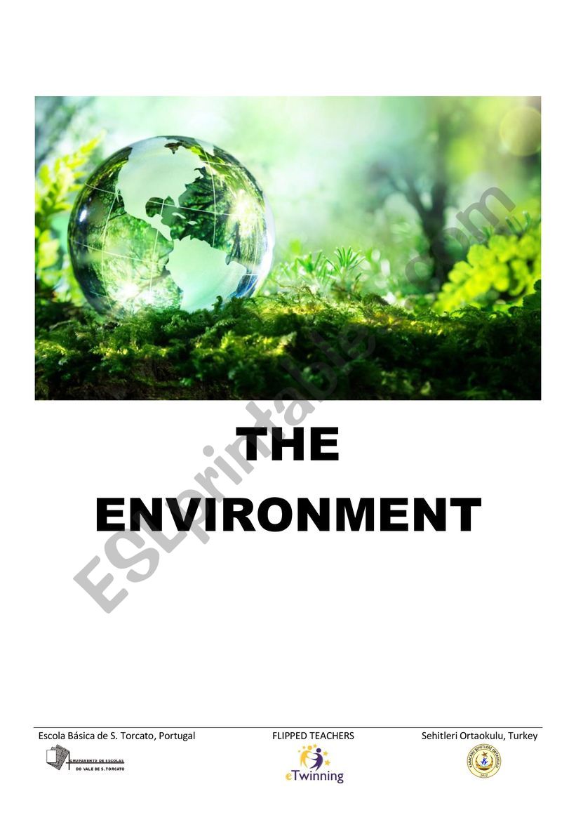 The Environment worksheet