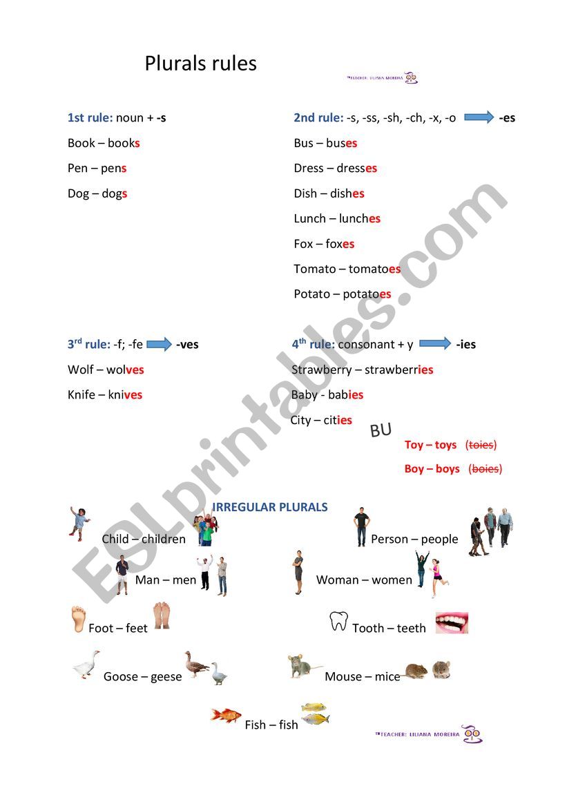 Rules for plurals worksheet