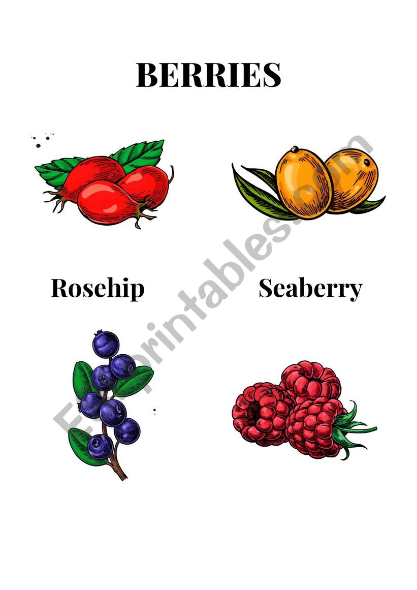 Berries Printable worksheet