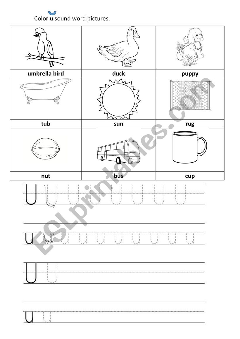 Letter U-sound u worksheet