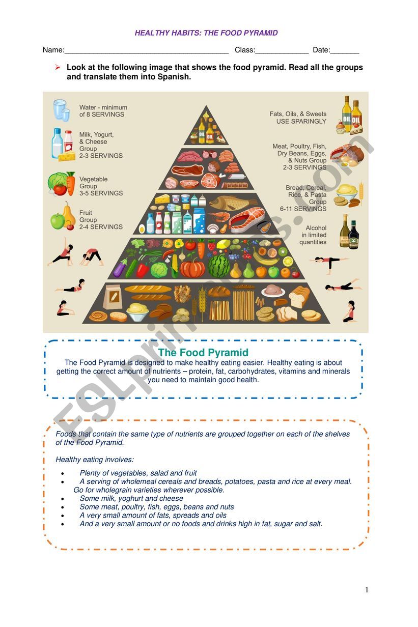 The food pyramid worksheet