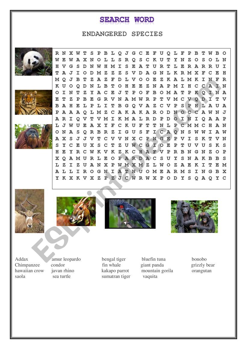 ENDANGERED SPECIES - Part 2 worksheet