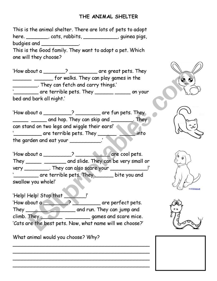 THE ANIMAL SHELTER worksheet