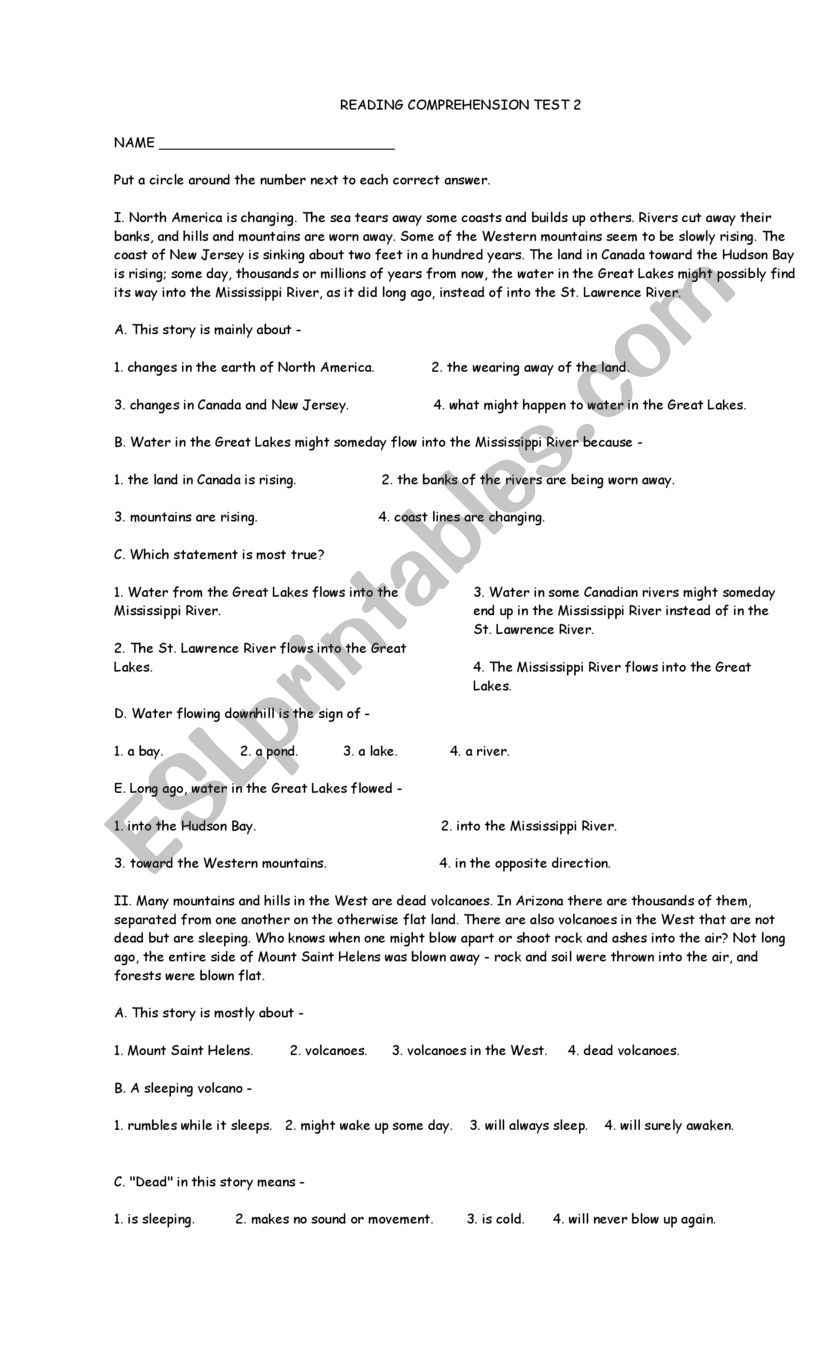 Reading Comprehension worksheet