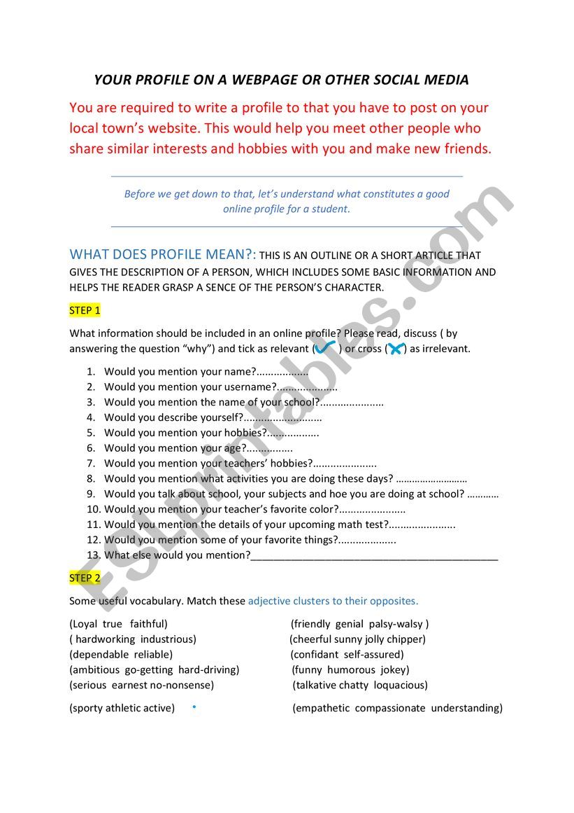 WRITING AN ONLINE PROFILE  worksheet