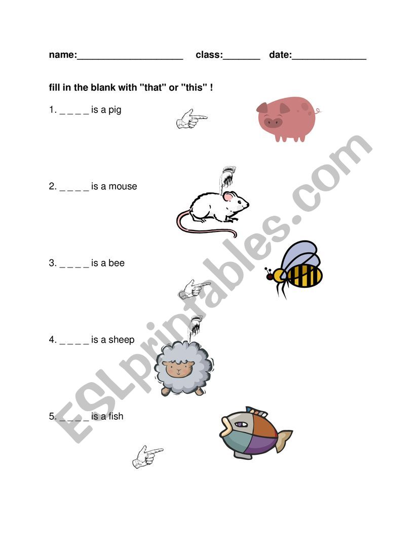 he /she worksheet