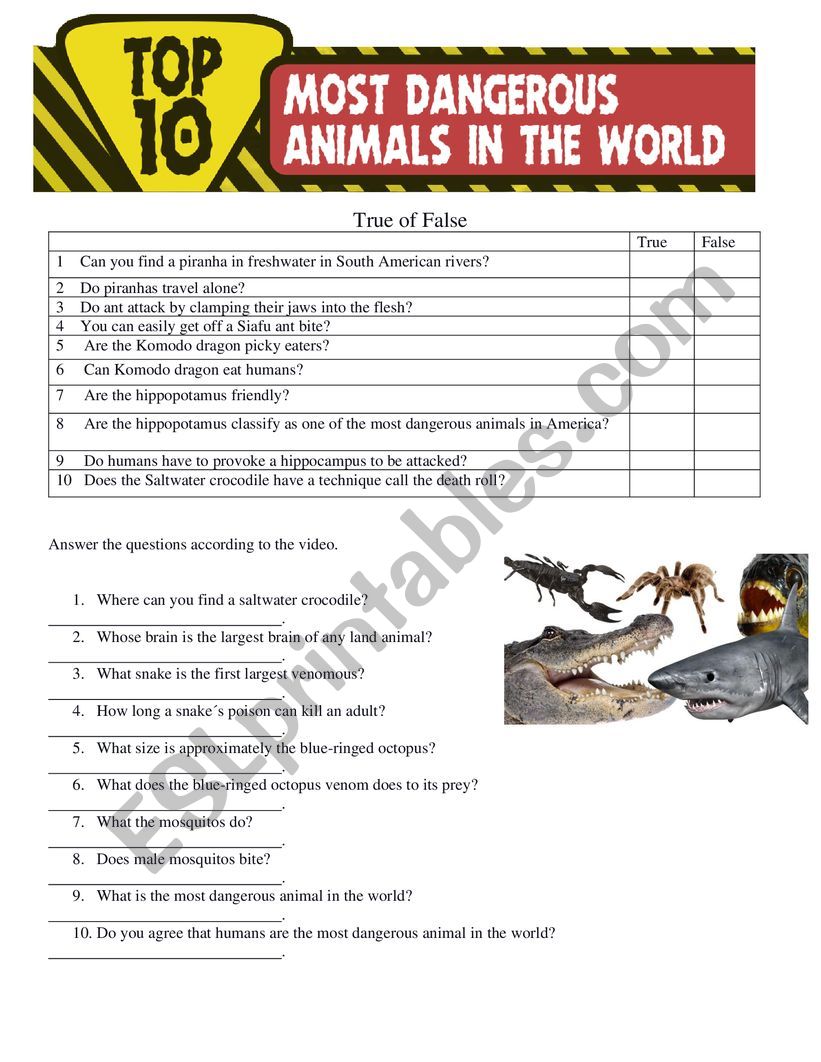 Top 10 Most Dangerous Animals In The World - ESL worksheet by BarbieAcosta
