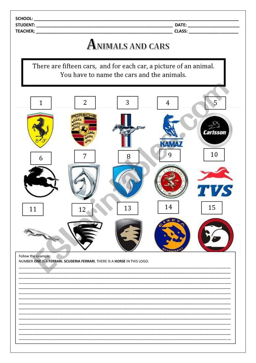 ANIMALS AND CARS worksheet