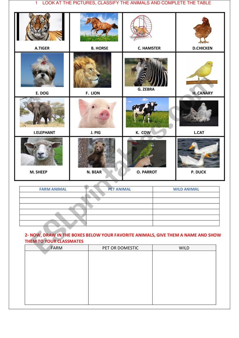 FARM, WILD AND PETS worksheet