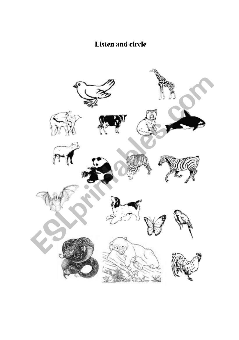 Animals: listen and circle worksheet