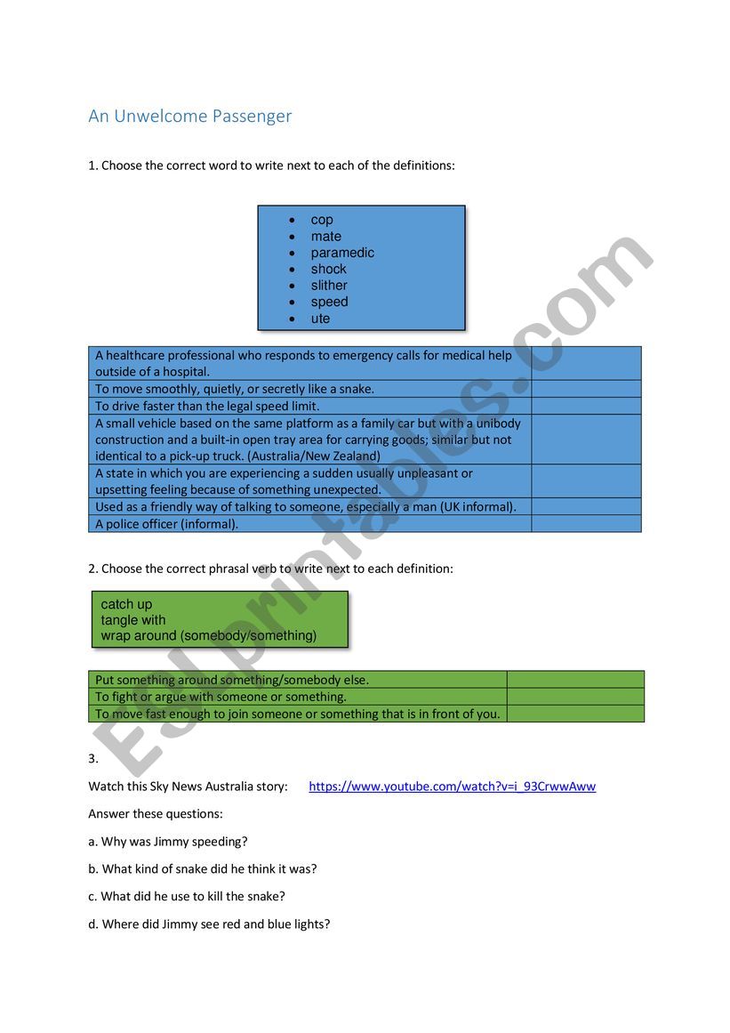 Unwelcome Passenger worksheet