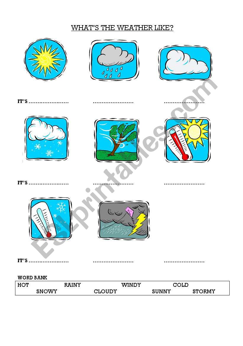 THE WEATHER DICTIONARY worksheet