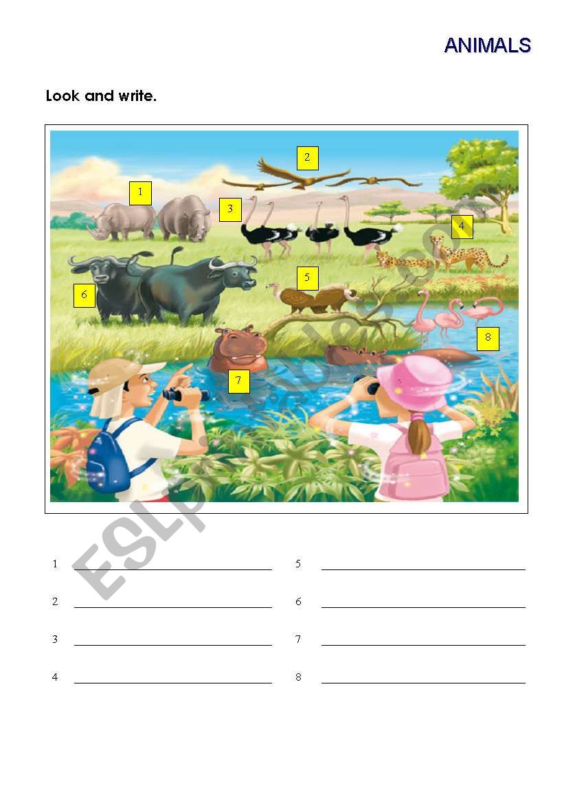 safari-animals-esl-worksheet-by-mamz