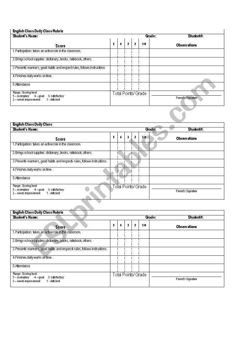 Daily Class Rubric worksheet