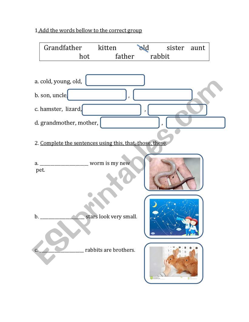 Family and Demonstratives worksheet