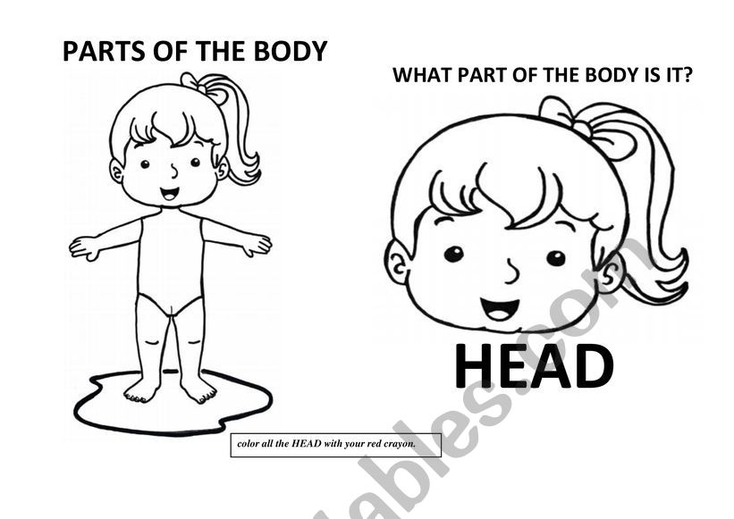 PARTS OF THE BODY GIRL worksheet