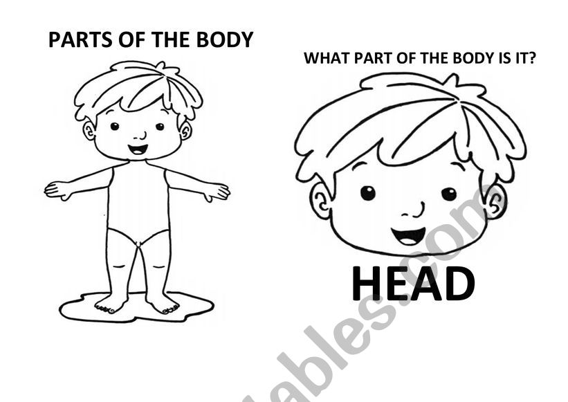 PARTS OF THE BODY BOY worksheet