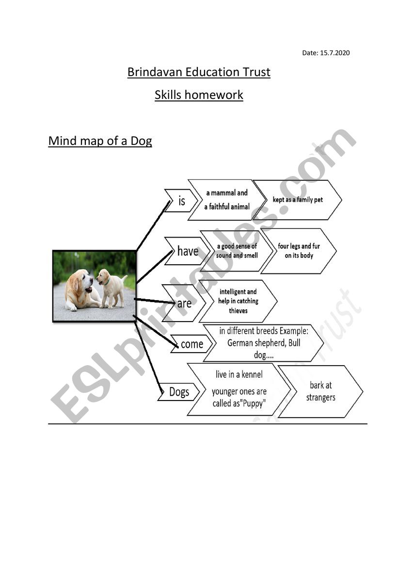 dog mind map worksheet