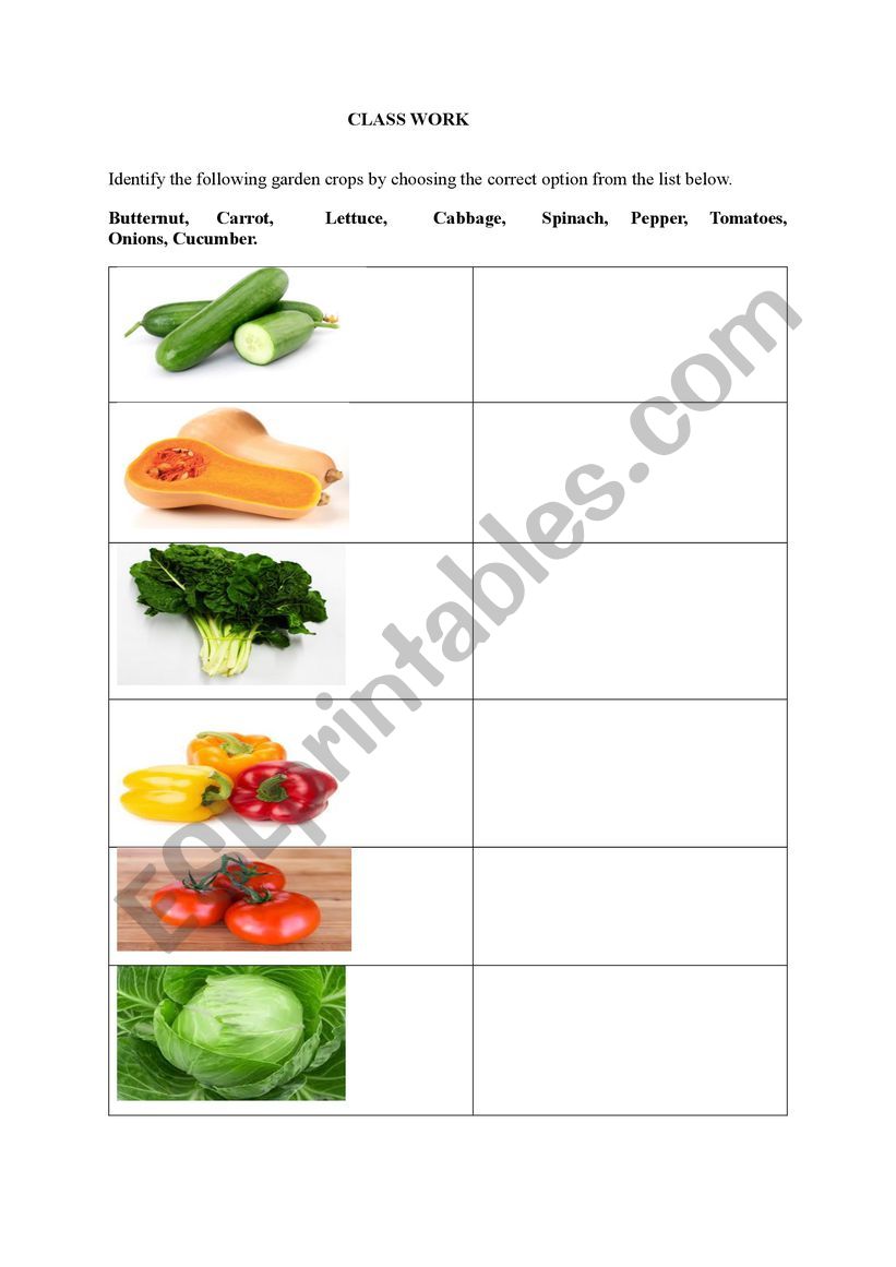 GARDENING WORKSHEET worksheet