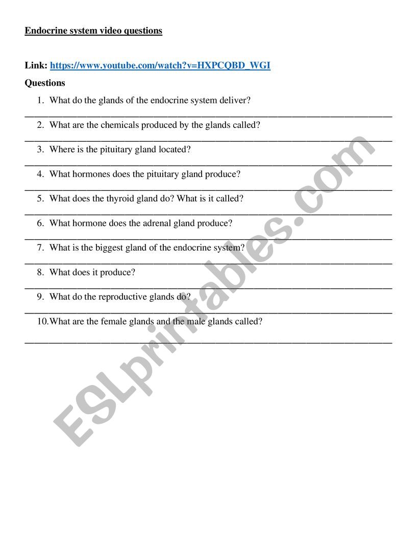 Endocrine system video questions