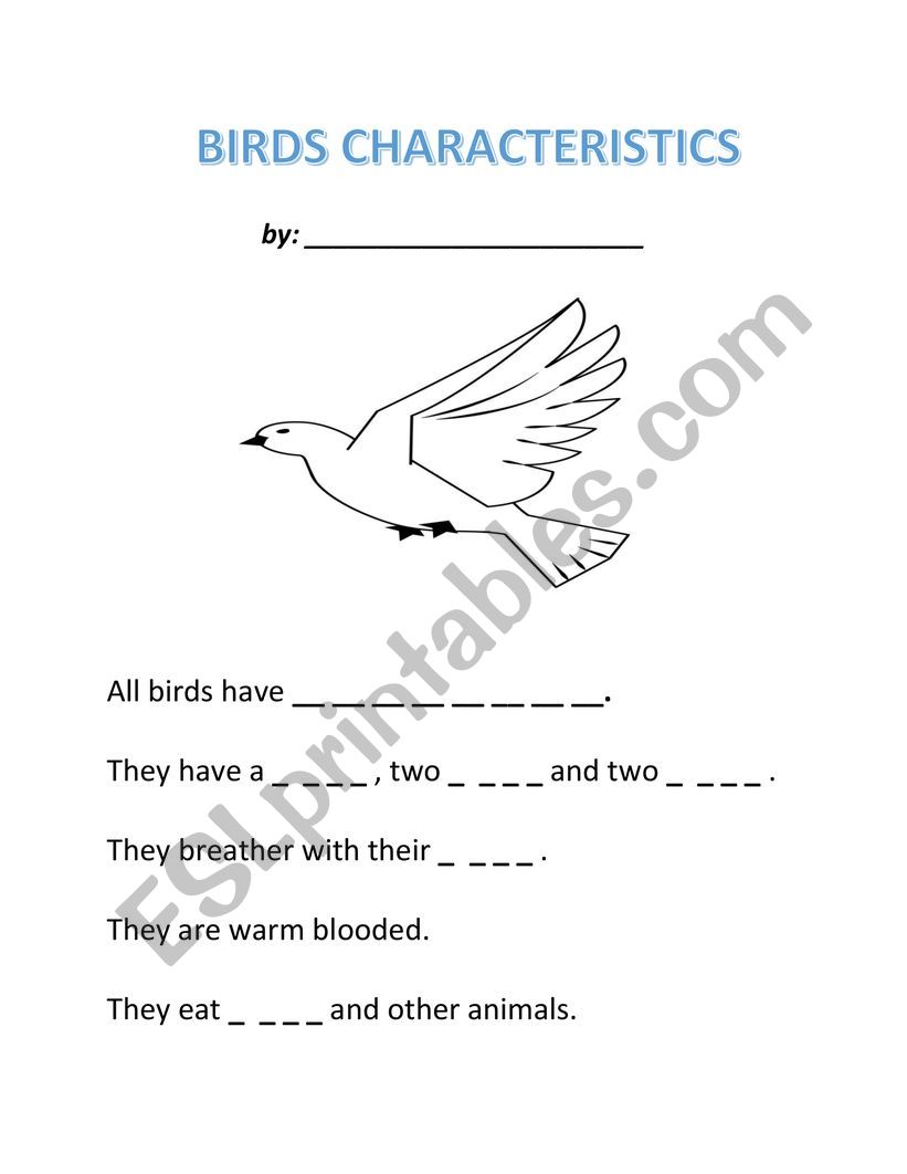 Birds worksheet
