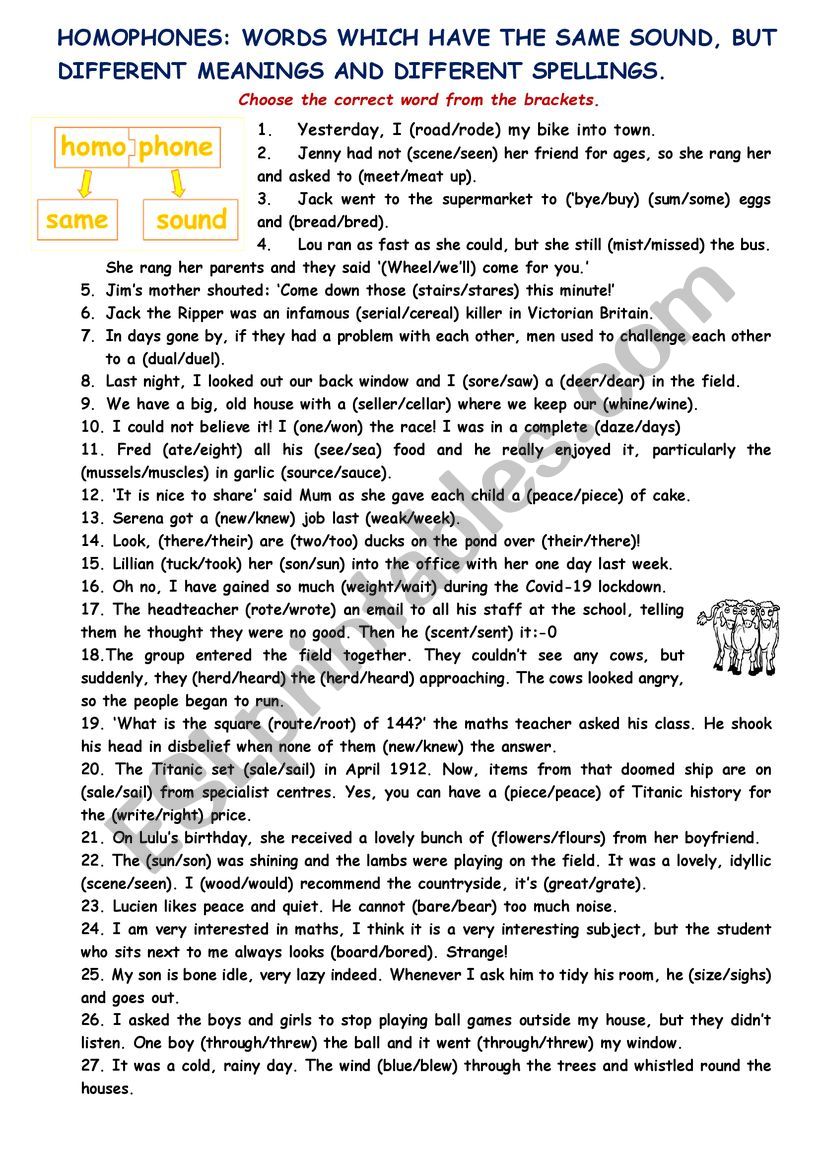 Exercise on HOMOPHONES worksheet