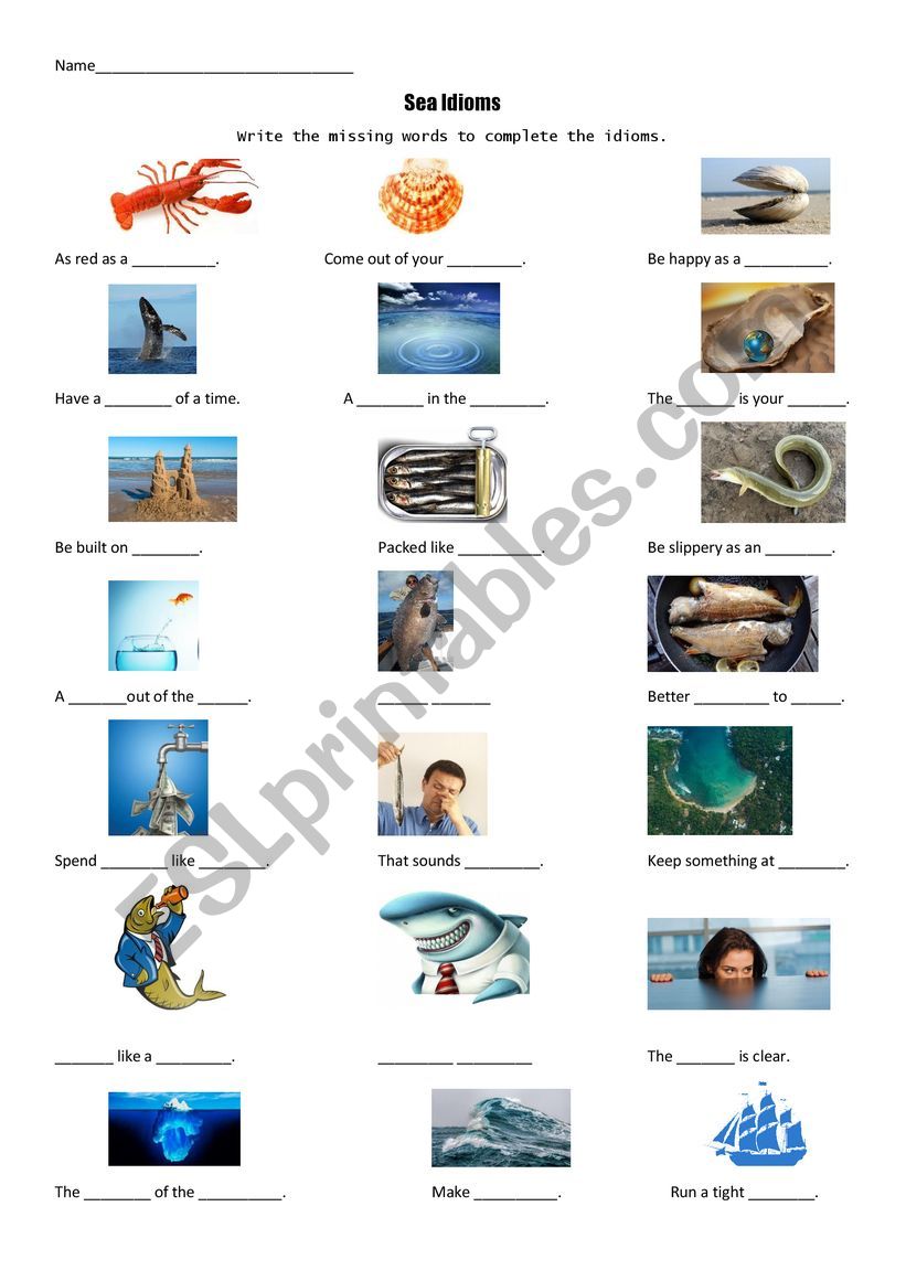 Sea Idioms worksheet
