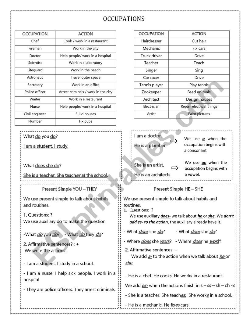 Present Simple - Grammar Focus