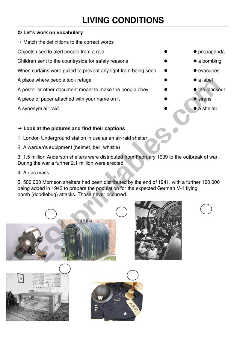 Living conidtions (Lesson 1) worksheet