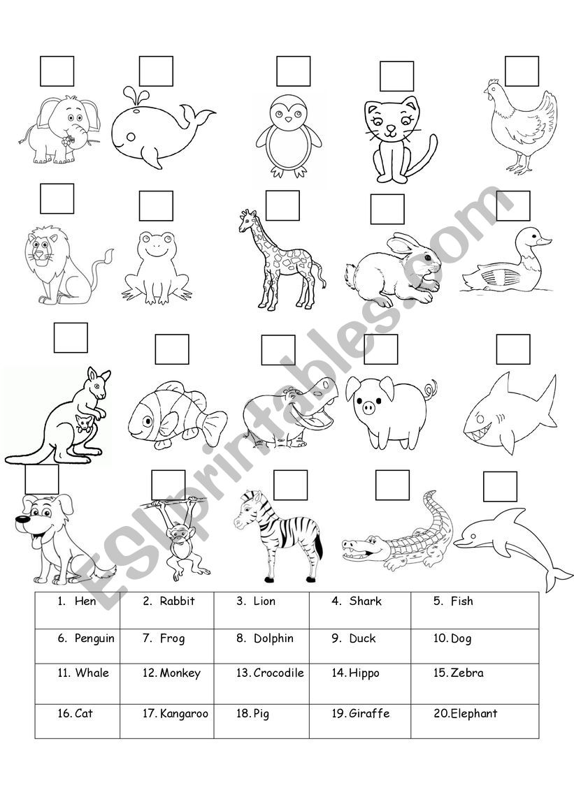 Number the animals game worksheet