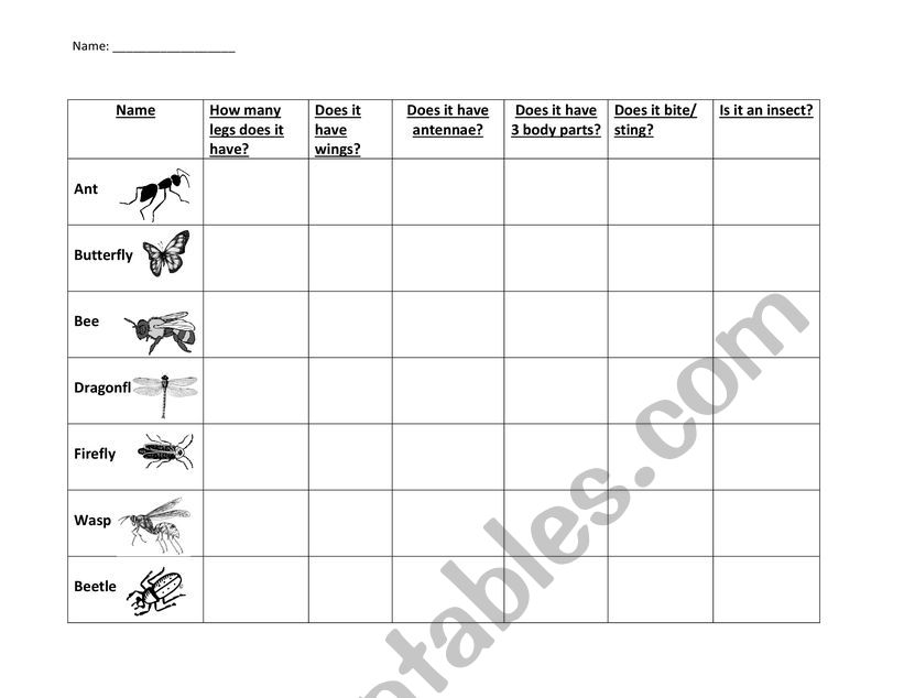 Insects Project worksheet