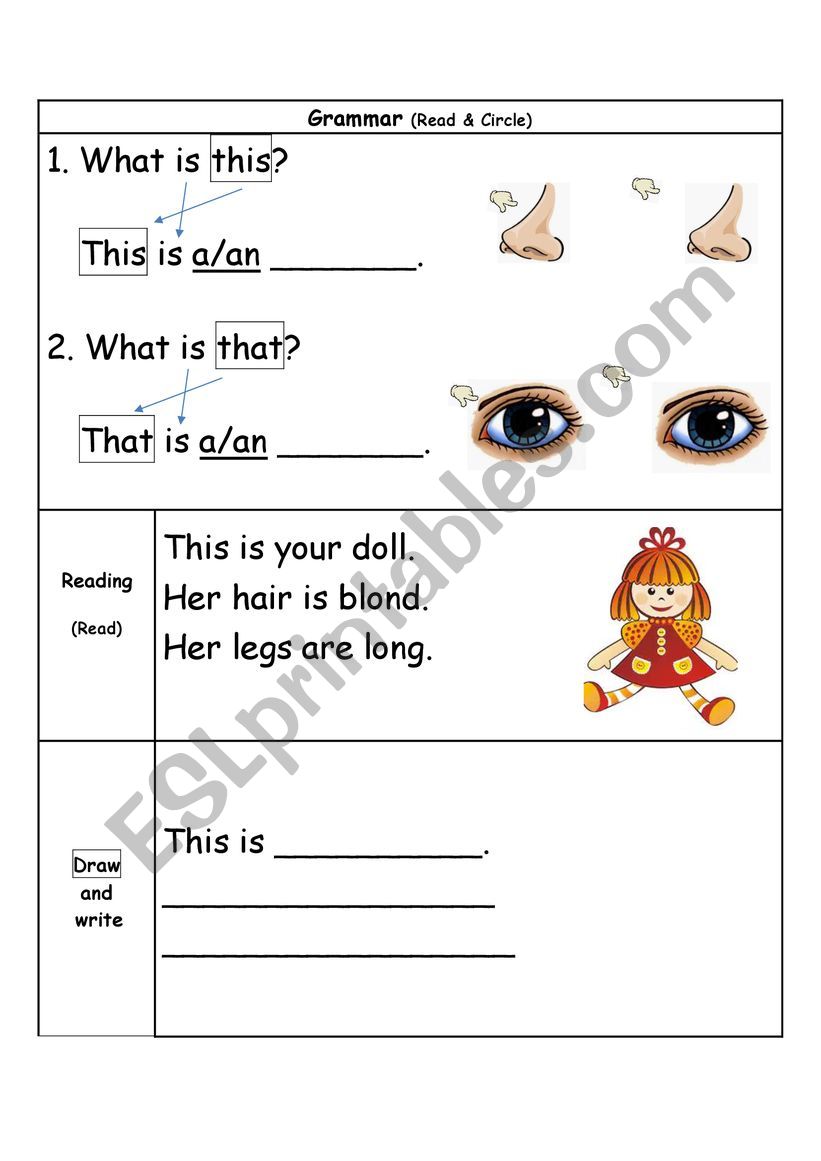 Body part worksheet