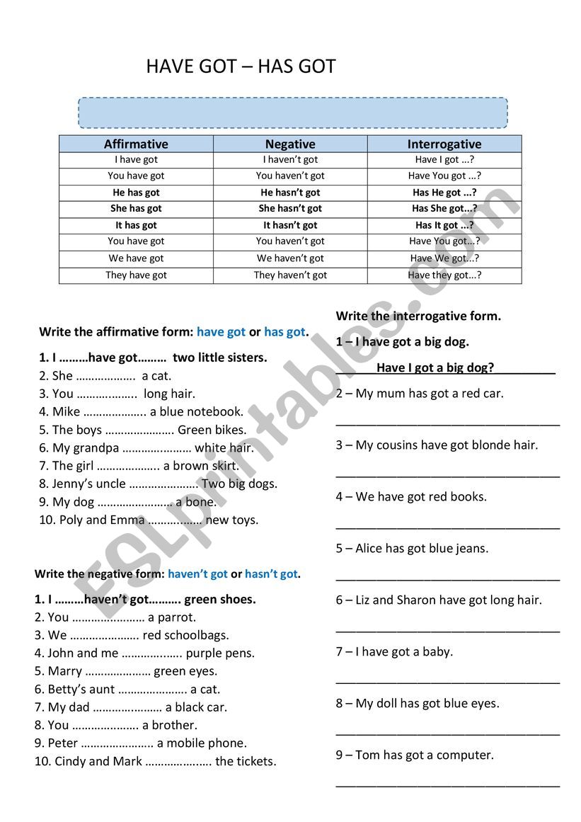 Have got - Has got worksheet