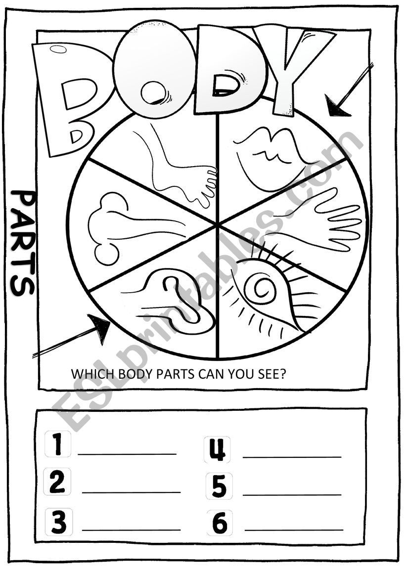 body parts worksheet worksheet